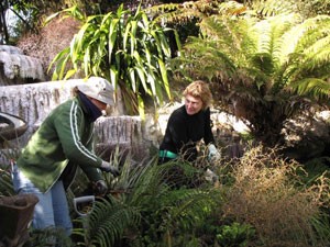 Landscape-Gardener.jpg