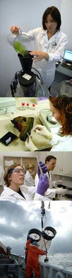 LifeSciencesstrip2.jpg