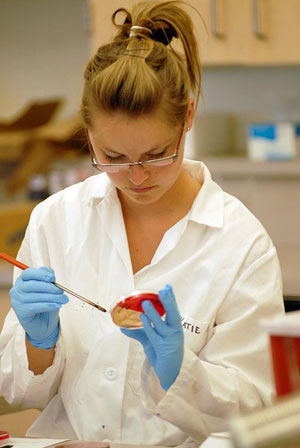 Medical-laboratory.jpg