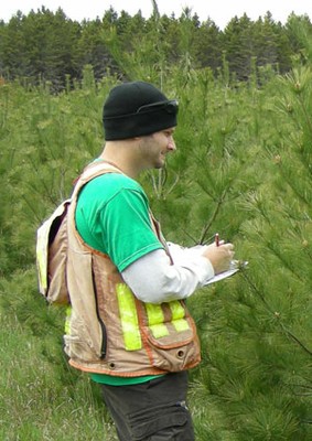 Silviculture.jpg