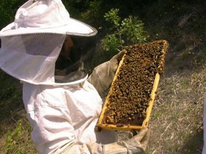 beekeeper2.jpg