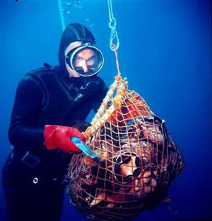 diver2.jpg