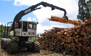 forestharvman3.jpg