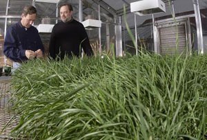 horticulturalScientists.jpg