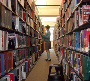 librarian3.jpg