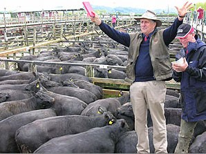 livestock.jpg