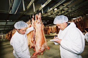 meat3.jpg