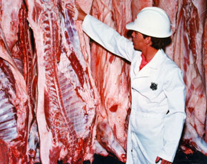 meatinspector2.jpg