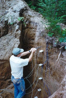 soil.jpg