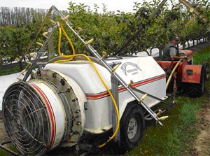 spraying3.jpg