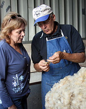 woolclassers.jpg