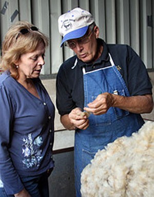 woolclassers.jpg