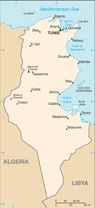 Tunisia.gif
