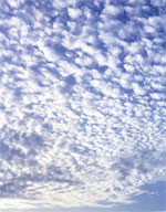 altocumulus1