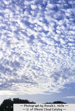 altocumulus