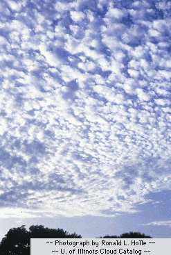 altocumulus