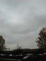 stratus