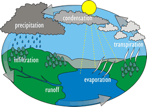 water_cycle