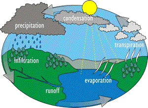 water_cycle