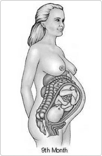 pregnancy9months